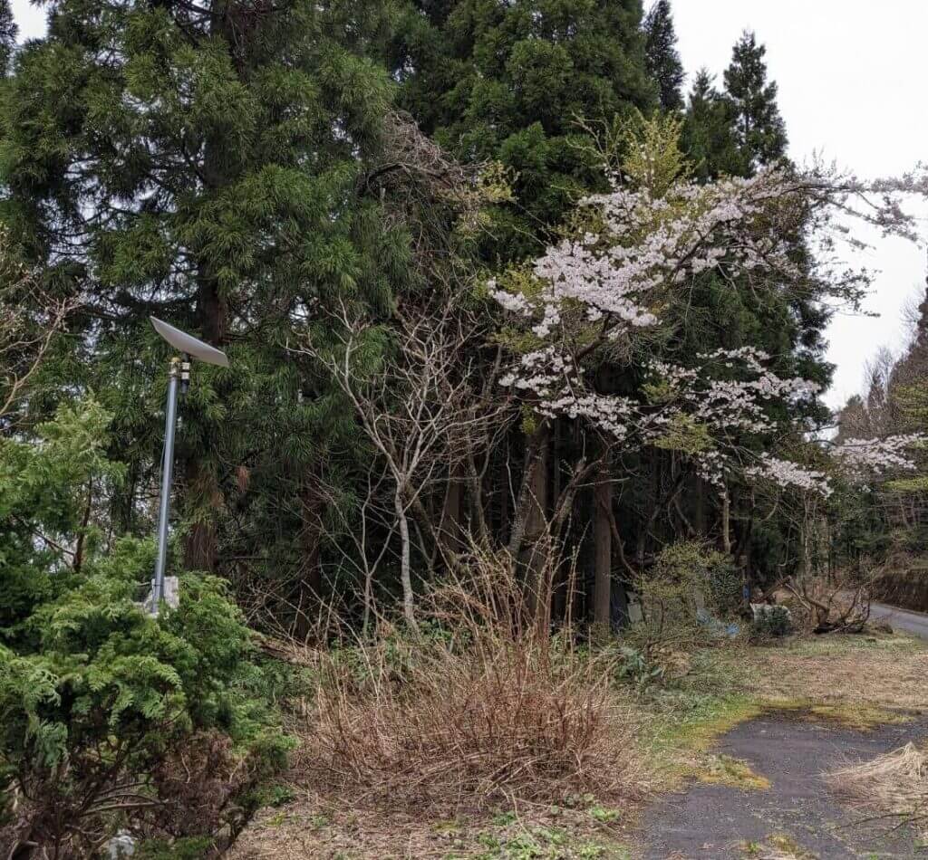 複数通信回線を束ねて安定化！　Starlink回線とLTE回線をSpeedifyで１つに束ねて通信途絶を回避する方法　その１